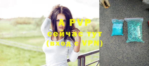 гидра Гусев