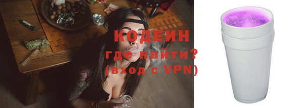 гидра Гусев