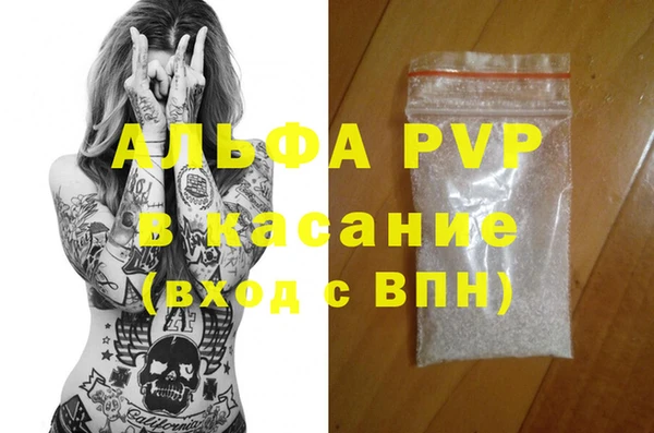 гидра Гусев