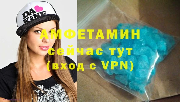гидра Гусев