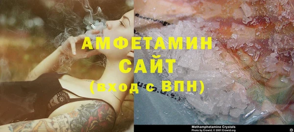гидра Гусев