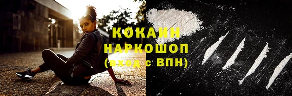 шишки Горнозаводск