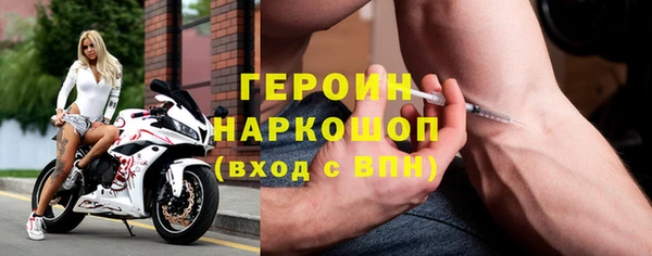 гидра Гусев
