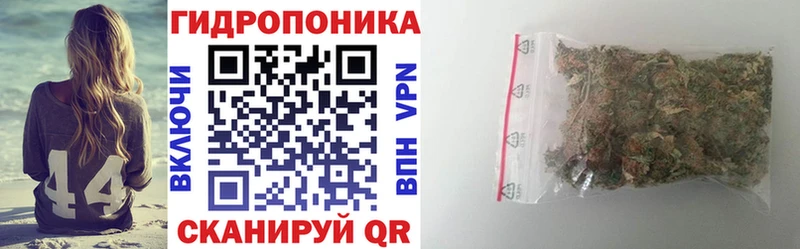 Купить закладки  Трубчевск  Конопля конопля 